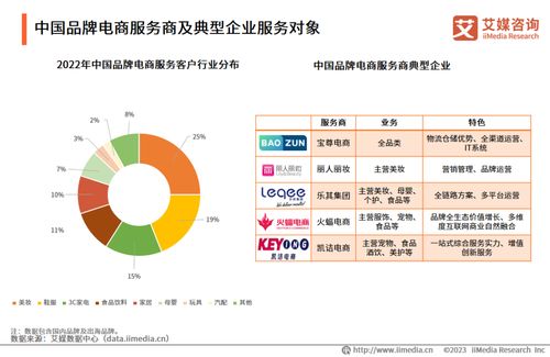 2023年中國品牌電商服務(wù)商行業(yè)研究報(bào)告 信息咨詢服務(wù)的演進(jìn)與展望